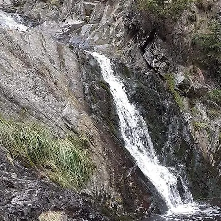 T 'n D House/ Terrasses De Hébergement de vacances *
