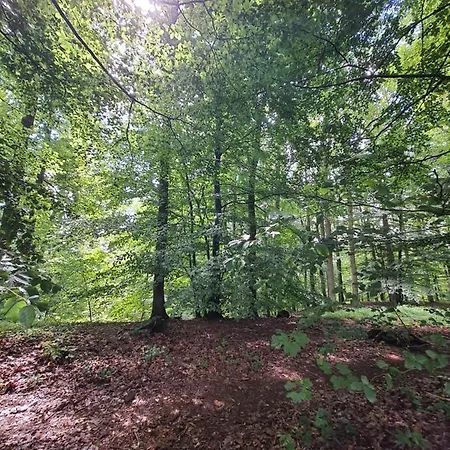 Hébergement de vacances T 'n D House/ Terrasses De *