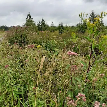 Hébergement de vacances T 'n D House/ Terrasses De *